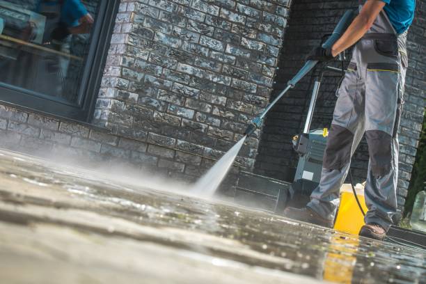 Best Animal Enclosure Cleaning  in Menasha, WI